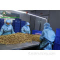 Vendita di prezzi di fabbrica Giorni di noci gustati di colore chiaro